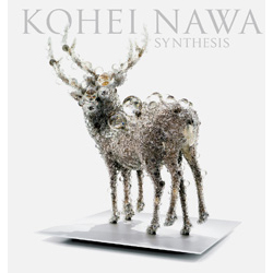 bk-nawa-synthesis-02_c.jpg